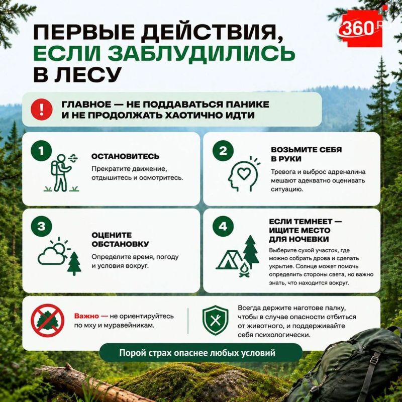 Идете в лес одни? Проверьте, готовы ли вы к этому