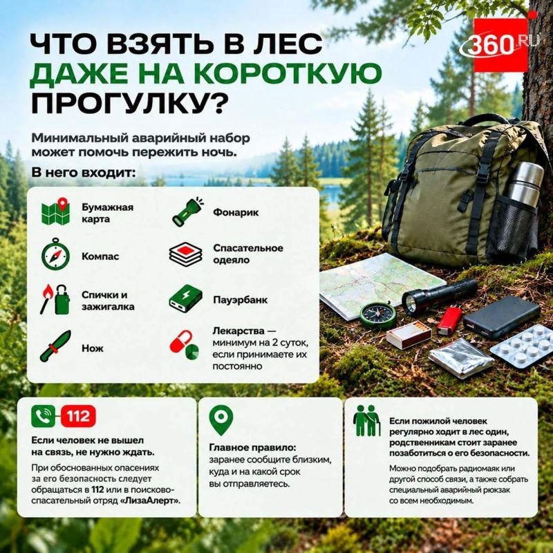 Идете в лес одни? Проверьте, готовы ли вы к этому Идете в лес одни? Проверьте, готовы ли вы к этому