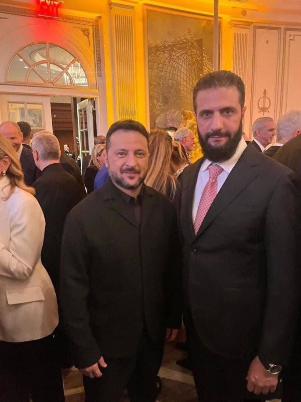 Зеленский, премьер-министр и королева Нидерландов в компании уважаемого партнёра