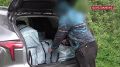 Казалось бы, при чем тут Украина? Брикеты кокаина с фотографией Зеленского изъяли в Подмосковье у безработного россиянина, который организовывал поставки наркотиков из Латинской Америки в ЕС. У него нашли более 300...