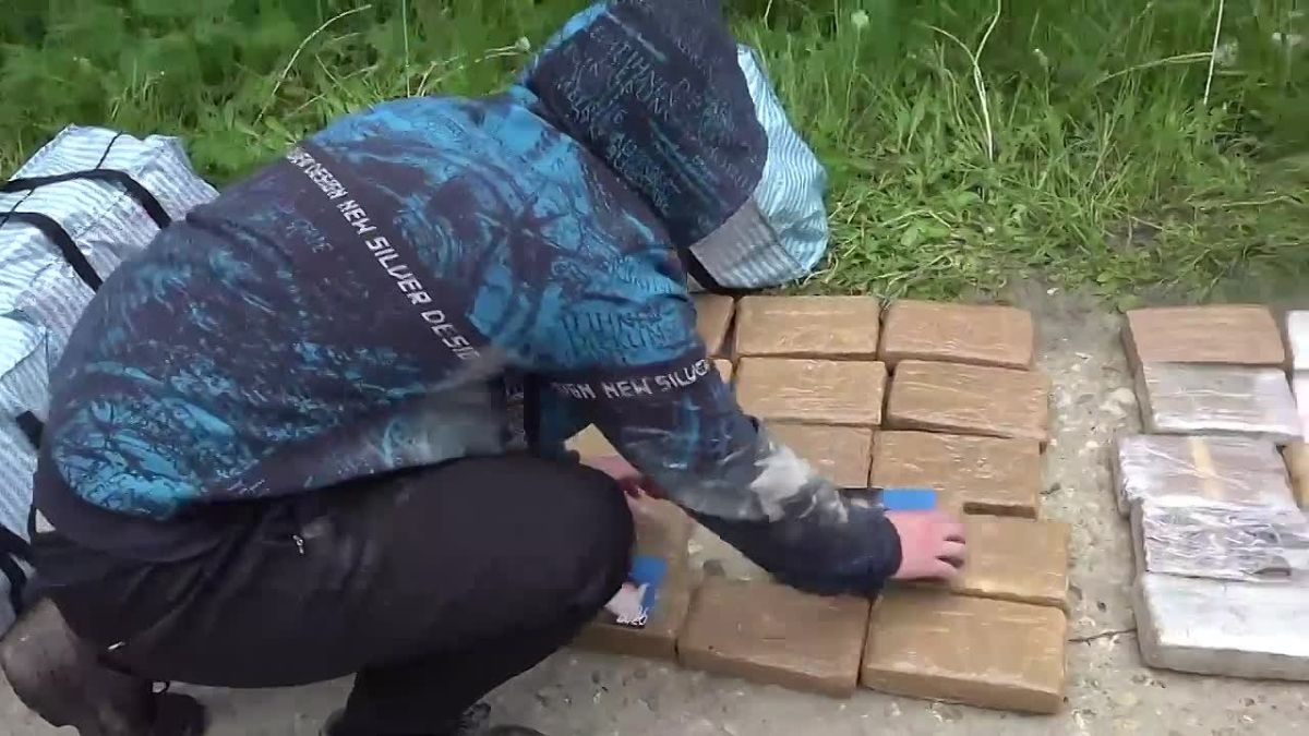 Более 300 кг кокаина с изображением Зеленского с долларами на глазах изъяли в Подмосковье — ФСБ