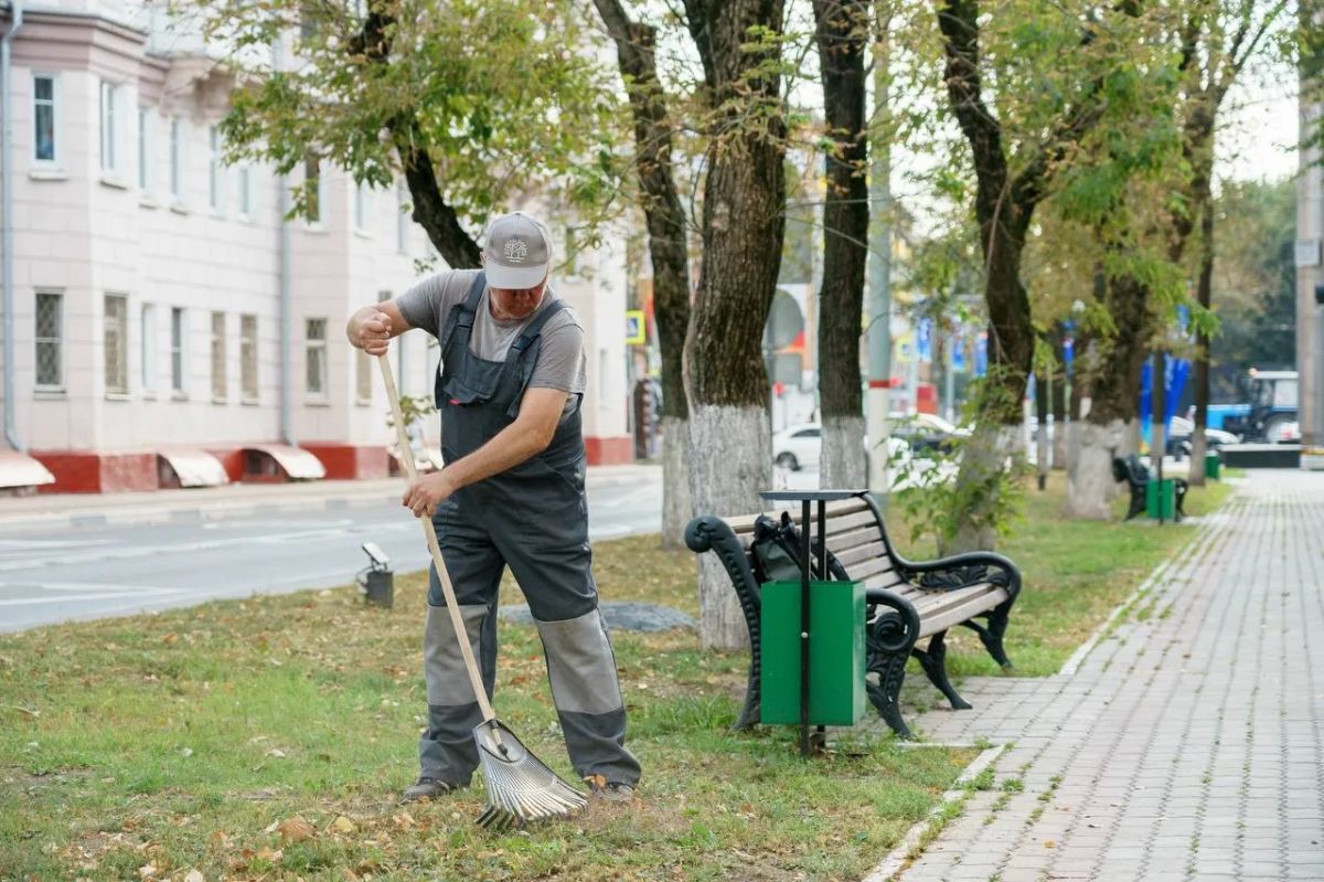 Коммунальные службы Подмосковья приступили к осенней уборке листвы Коммунальные службы Подмосковья приступили к осенней уборке листвы