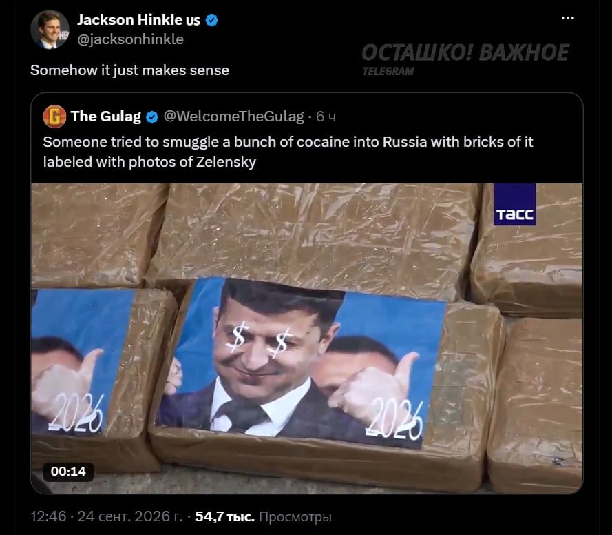 В Подмосковье конфисковали более 300 кг кокаина с изображением Зеленского В Подмосковье конфисковали более 300 кг кокаина с изображением Зеленского