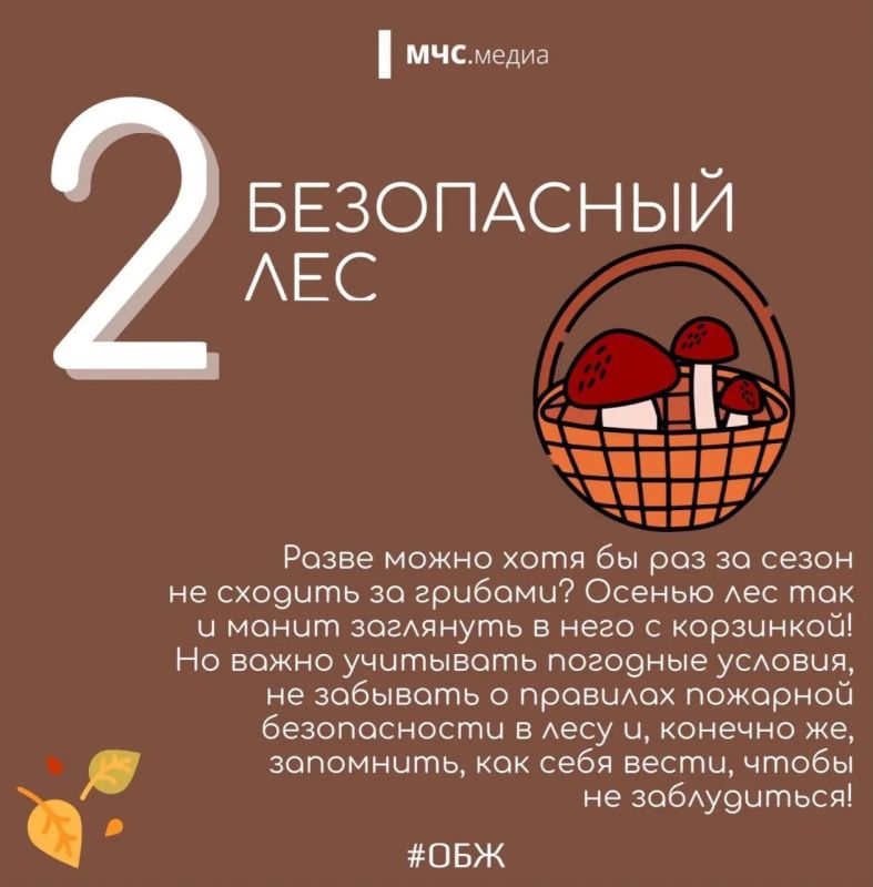 МЧС напоминает о безопасности осенью МЧС напоминает о безопасности осенью
