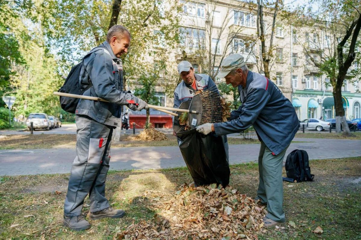 Коммунальные службы Подмосковья приступили к осенней уборке листвы Коммунальные службы Подмосковья приступили к осенней уборке листвы