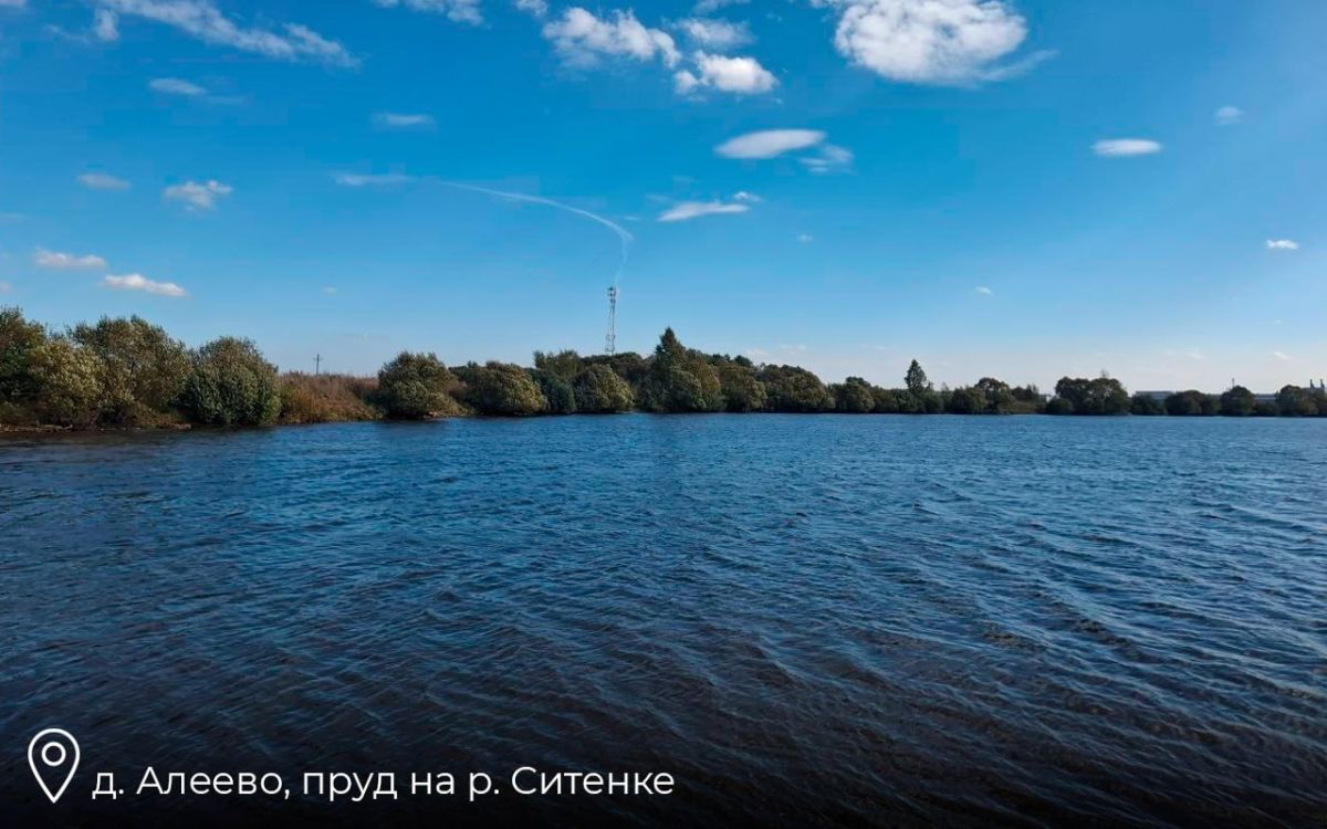 В г.о. Ступино завершили расчистку 3 водоемов по региональной программе «100 прудов и озер» В г.о. Ступино завершили расчистку 3 водоемов по региональной программе «100 прудов и озер»