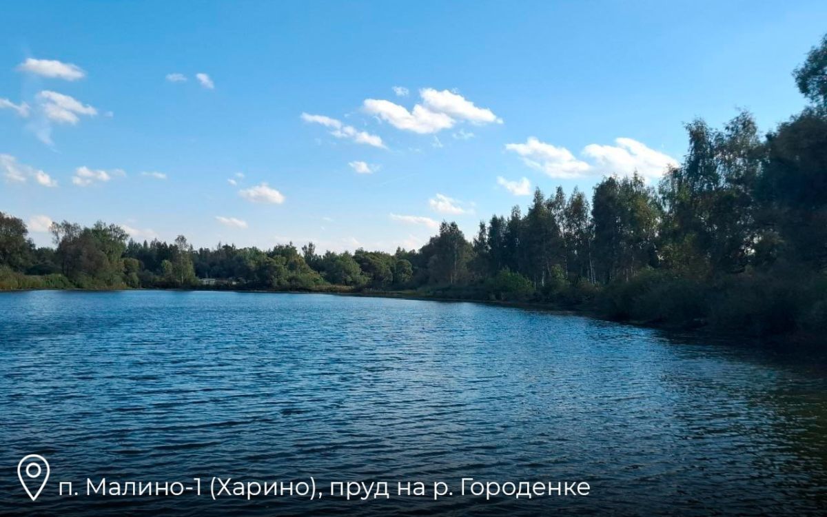 В г.о. Ступино завершили расчистку 3 водоемов по региональной программе «100 прудов и озер» В г.о. Ступино завершили расчистку 3 водоемов по региональной программе «100 прудов и озер»