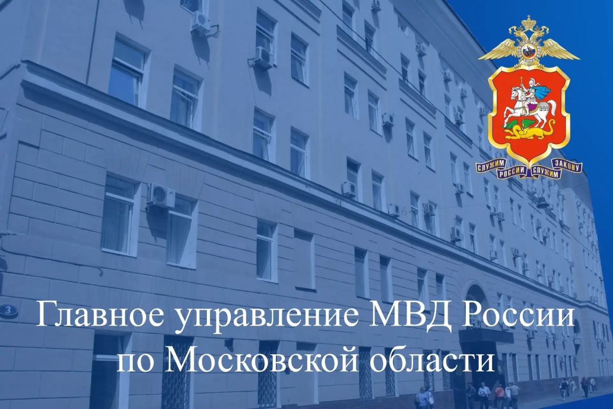 Полицейские в Подмосковье подвели итоги операции по пресечению незаконного оборота оружия и боеприпасов