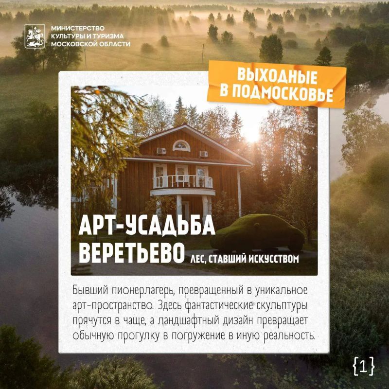 Выходные в Подмосковье: лес, ставший искусством