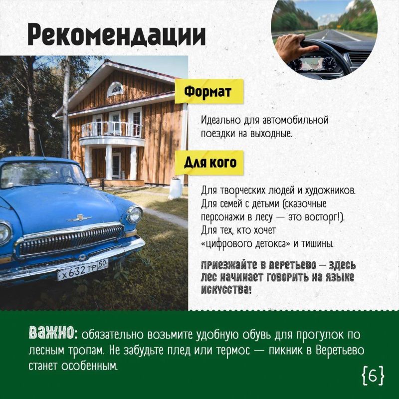 Выходные в Подмосковье: лес, ставший искусством Выходные в Подмосковье: лес, ставший искусством