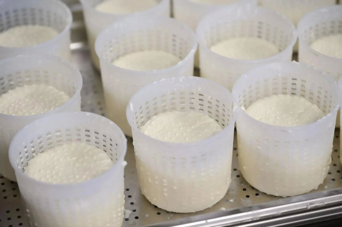 Большой успех сыроварни «МурМилка» на Cheese Open 2026! Большой успех сыроварни «МурМилка» на Cheese Open 2026!