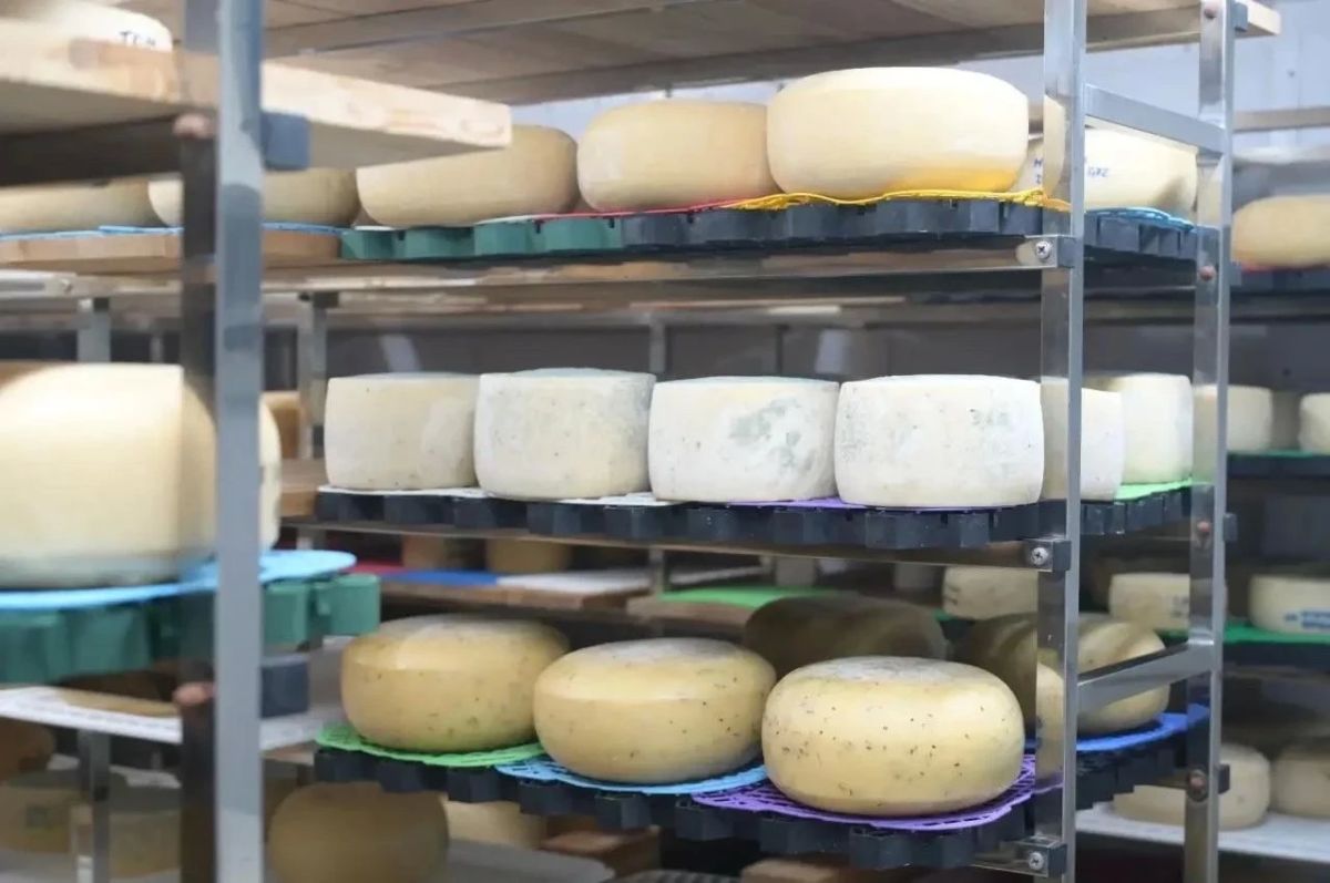 Большой успех сыроварни «МурМилка» на Cheese Open 2026! Большой успех сыроварни «МурМилка» на Cheese Open 2026!
