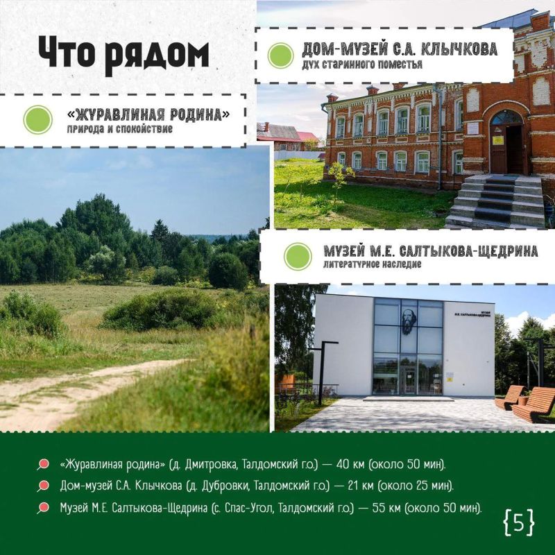 Выходные в Подмосковье: лес, ставший искусством Выходные в Подмосковье: лес, ставший искусством