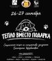 Друзья, сегодня у меня день рождения! В этот день принято подводить итоги, строить планы, загадывать желания
