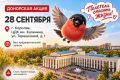 Донорская акция пройдет в Королеве 28 сентября