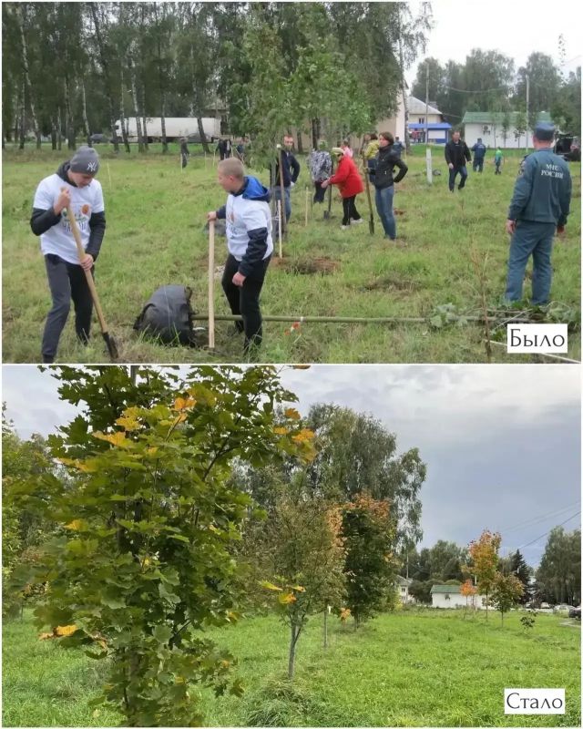 10 лет спустя: как деревья из первой акции «Наш лес» выросли в Рогачево 10 лет спустя: как деревья из первой акции «Наш лес» выросли в Рогачево