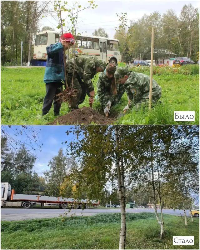 10 лет спустя: как деревья из первой акции «Наш лес» выросли в Рогачево 10 лет спустя: как деревья из первой акции «Наш лес» выросли в Рогачево