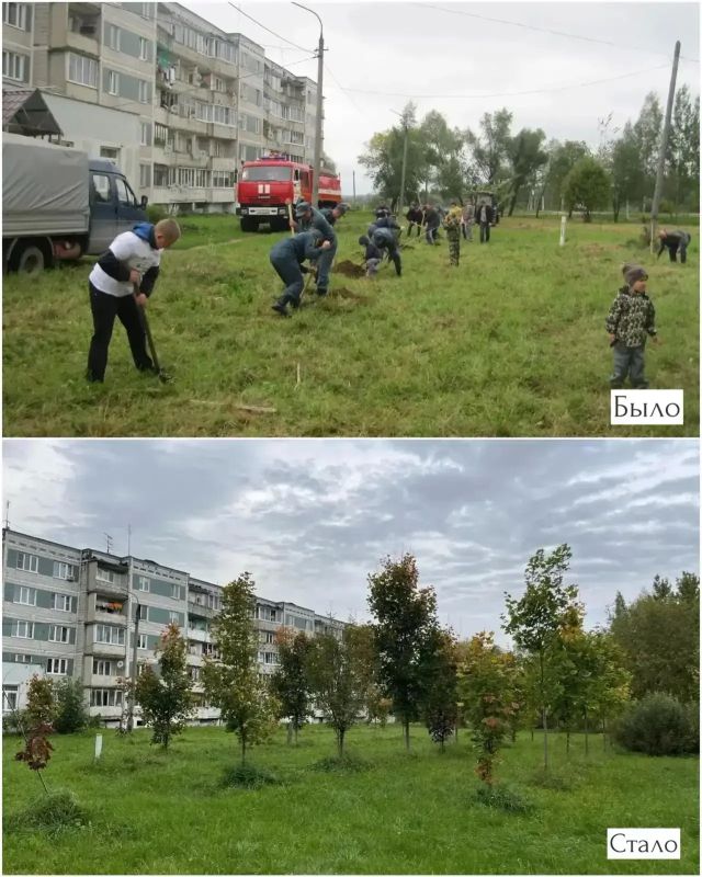 10 лет спустя: как деревья из первой акции «Наш лес» выросли в Рогачево 10 лет спустя: как деревья из первой акции «Наш лес» выросли в Рогачево