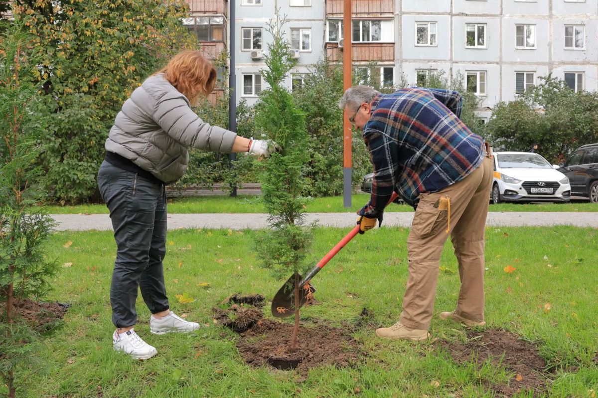 Более 650 деревьев и кустарников высадили в Королёве в рамках акции «Сохраним лес» Более 650 деревьев и кустарников высадили в Королёве в рамках акции «Сохраним лес»