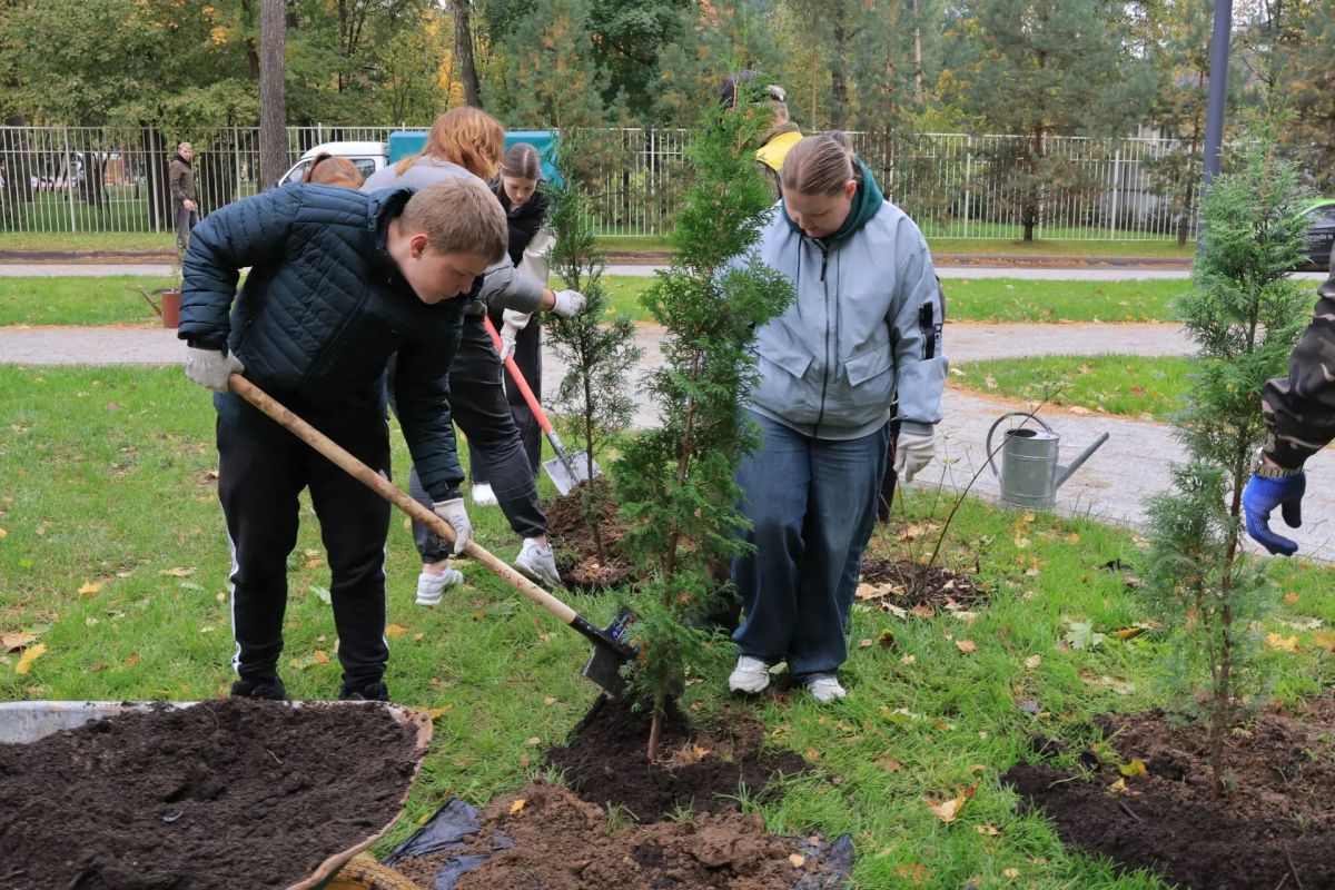 Более 650 деревьев и кустарников высадили в Королёве в рамках акции «Сохраним лес» Более 650 деревьев и кустарников высадили в Королёве в рамках акции «Сохраним лес»