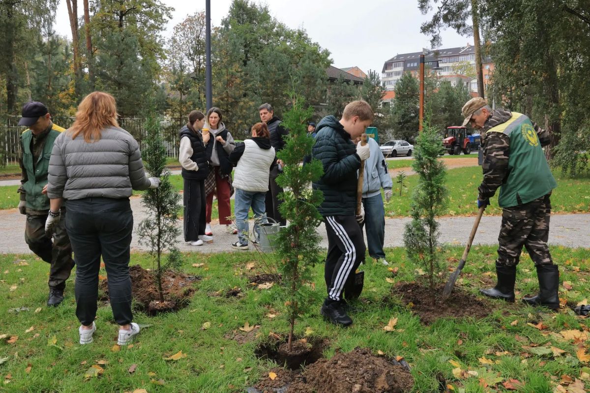 Более 650 деревьев и кустарников высадили в Королёве в рамках акции «Сохраним лес» Более 650 деревьев и кустарников высадили в Королёве в рамках акции «Сохраним лес»