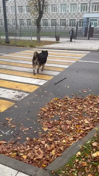 Входим в рабочую неделю легко, уверенно и безопасно!