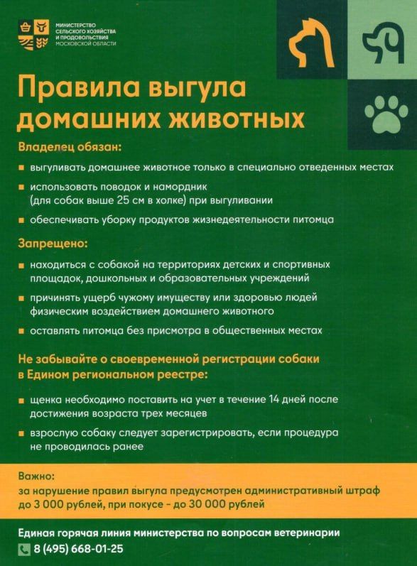 В Подмосковье действуют правила выгула домашних животных