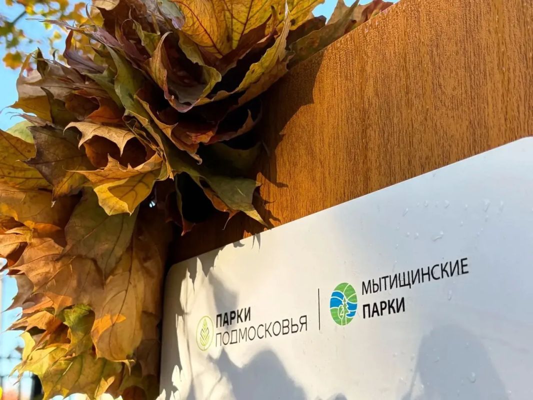 Юлия Купецкая: Наступила красивая пора — золотая осень в Мытищах Юлия Купецкая: Наступила красивая пора — золотая осень в Мытищах
