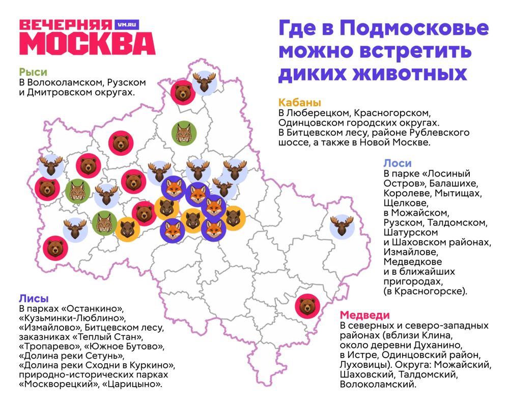 За шумными магистралями и жилыми кварталами в московском регионе сохранились настоящие островки дикой природы
