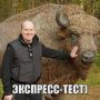 Сергей Бурунов бросил усыновлённого в Подмосковье зубра Мухомора — актёр перестал платить за его содержание после нескольких лет заботы