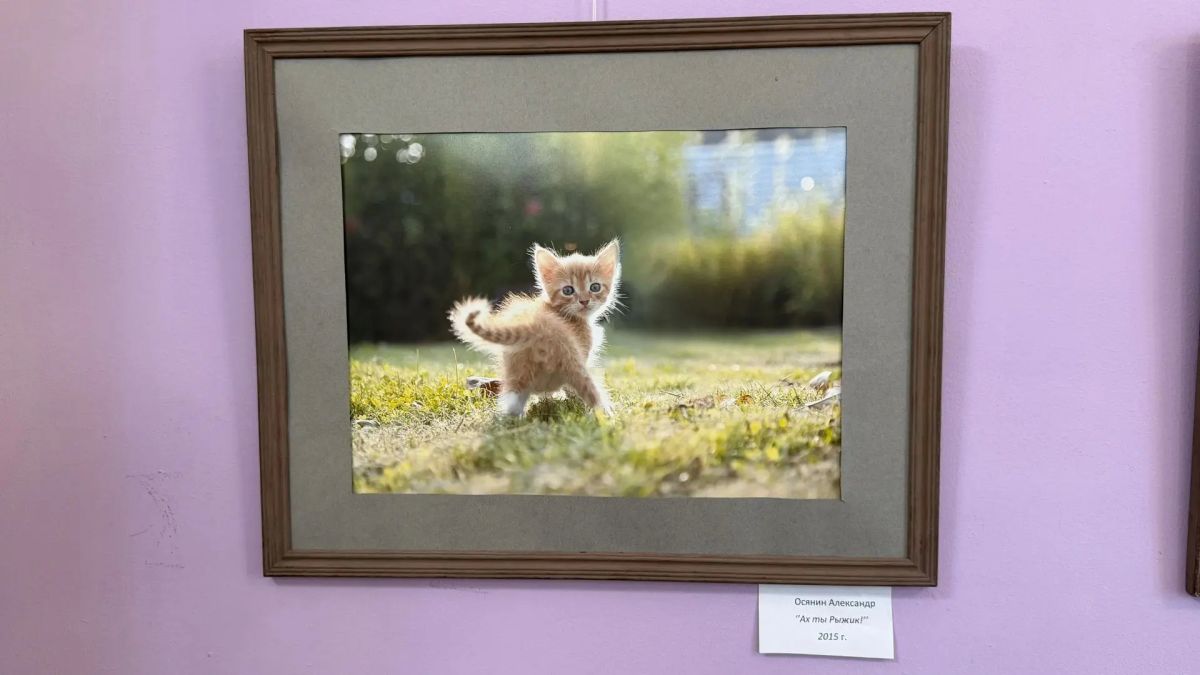 Фотовыставка «Путешествия. Отдых Фотовыставка «Путешествия. Отдых