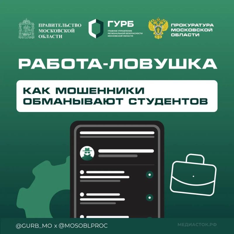 Первая работа — отличный старт