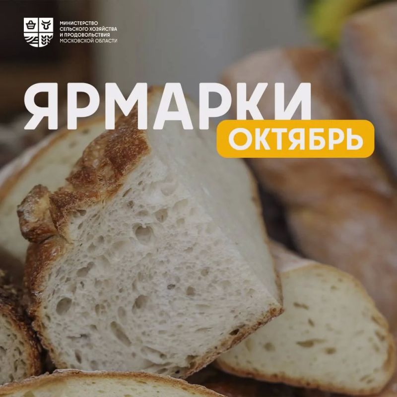 Встречаем октябрь на ярмарках Подмосковья!