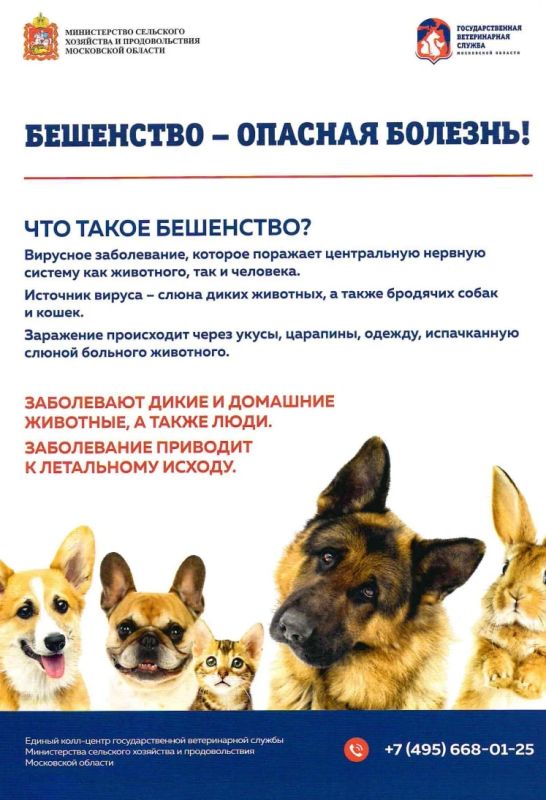 В соответствии с пунктом 23 приказа Министерства сельского хозяйства Российской Федерации от 25.11.2020 № 705 «Об утверждении Ветеринарных правил осуществления профилактических, диагностических, ограничительных В соответствии с пунктом 23 приказа Министерства сельского хозяйства Российской Федерации от 25.11.2020 № 705 «Об утверждении Ветеринарных правил осуществления профилактических, диагностических, ограничительных