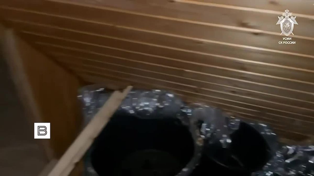 Кадры с места нападения на полицейского в деревне Паново в Подмосковье публикует СК