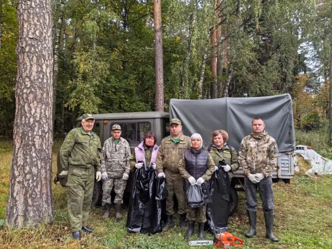 В Воскресенске навели порядок в лесу В Воскресенске навели порядок в лесу