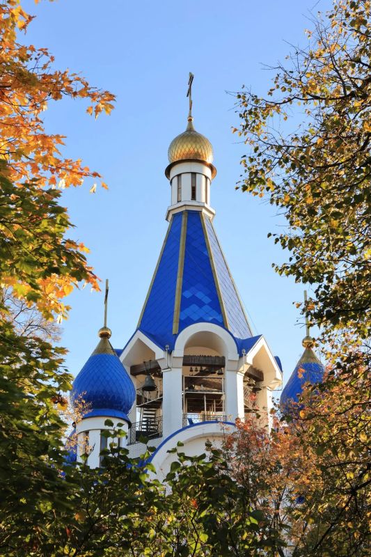 Наступила самая живописная пора года - золотая осень Наступила самая живописная пора года - золотая осень