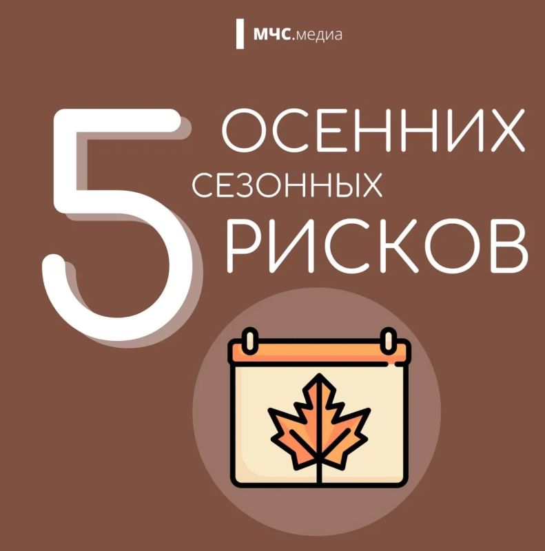 Чтобы осень была безопасной