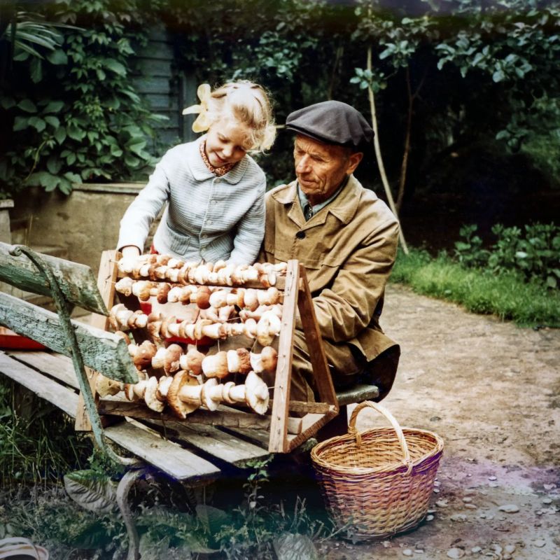 Фотофакт: Грибники со своими «трофеями»
