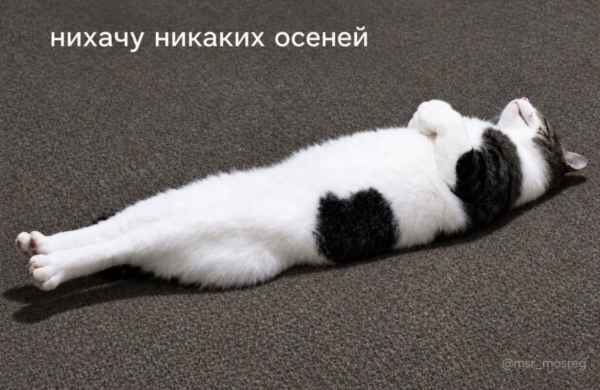Осенняя хандра — биология, с которой можно договориться