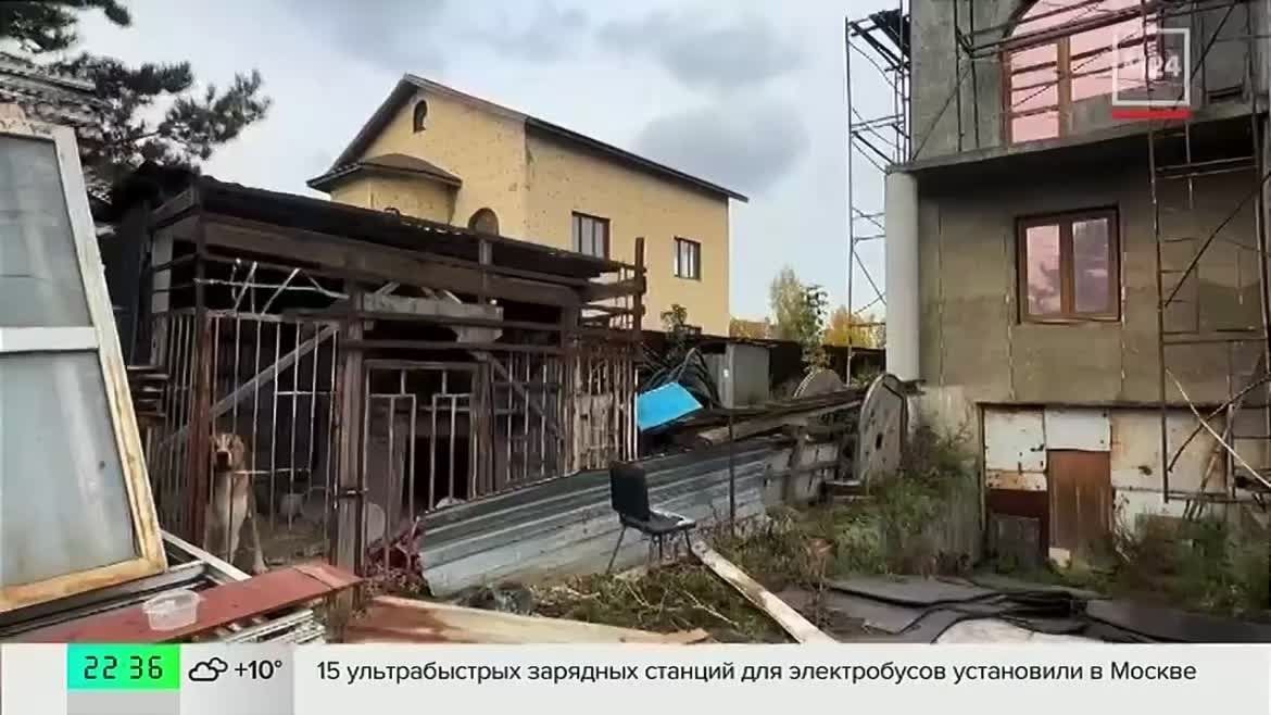 Собаку-узника нашли в Люберцах