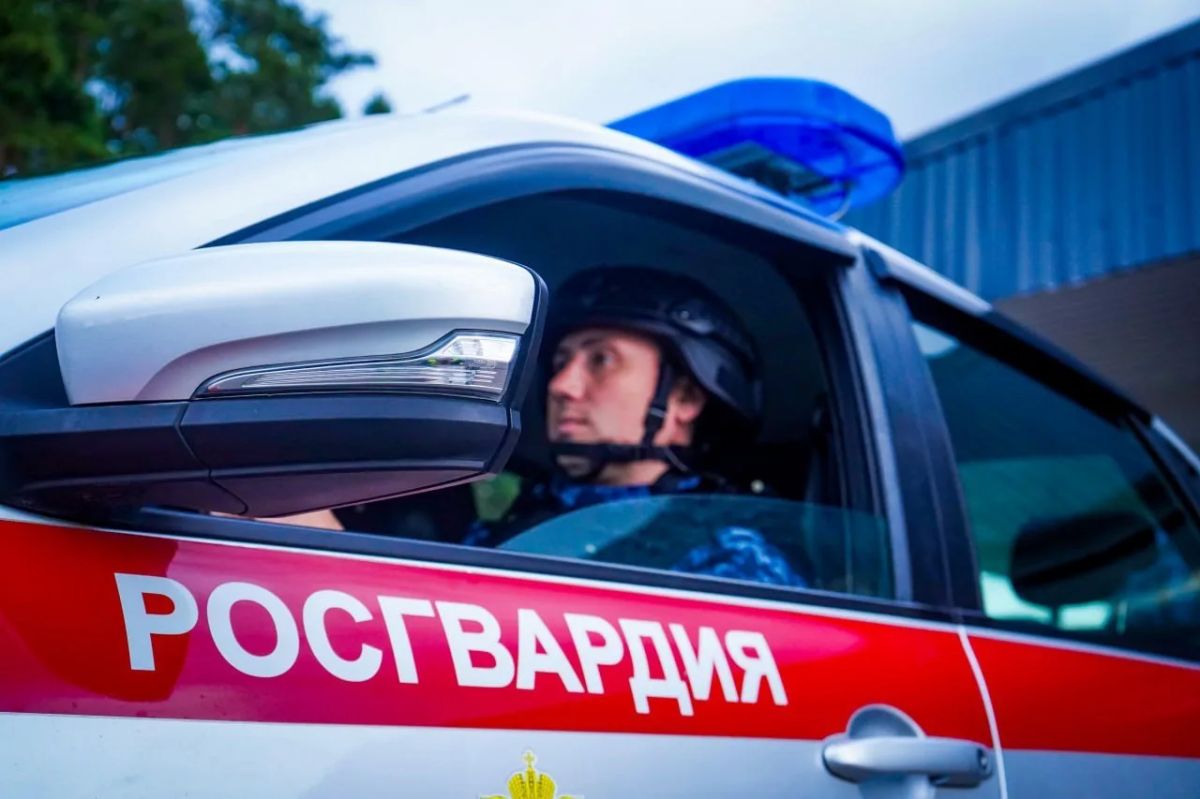Росгвардейцы пресекли серию правонарушений в торговых объектах Подмосковья