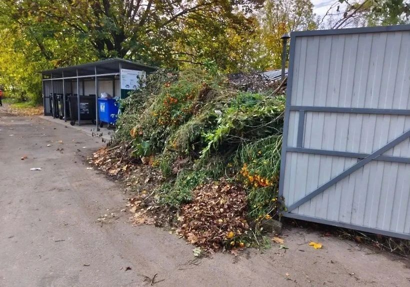 В Солнечногорске проверили общественные зоны и объекты потребительского рынка В Солнечногорске проверили общественные зоны и объекты потребительского рынка