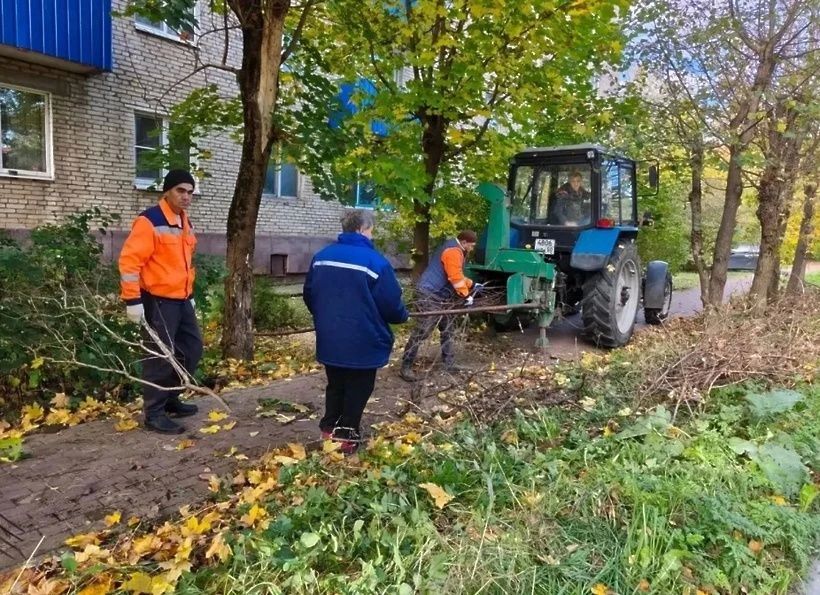 В Солнечногорске проверили общественные зоны и объекты потребительского рынка В Солнечногорске проверили общественные зоны и объекты потребительского рынка