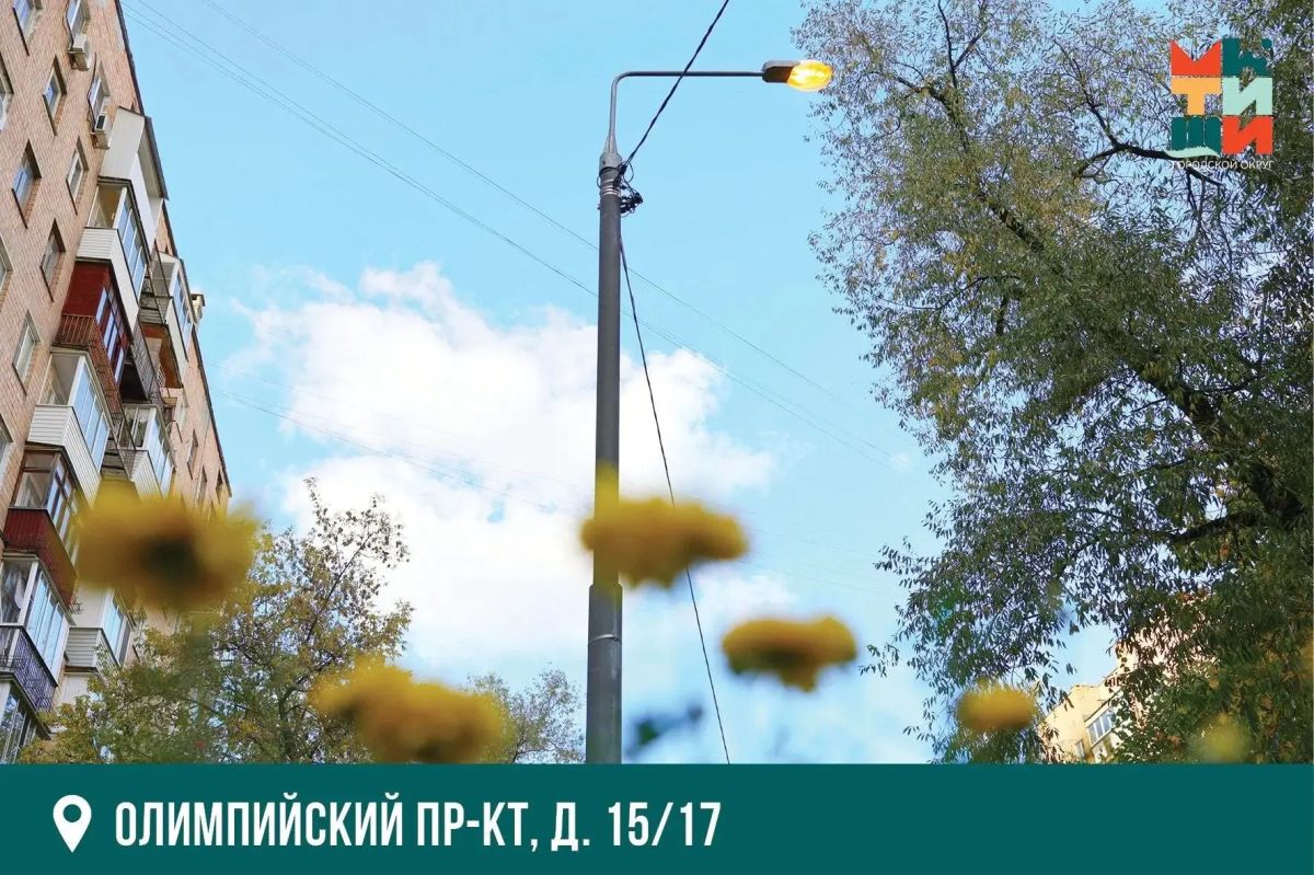Юлия Купецкая: Система уличного освещения: ежедневный мониторинг Юлия Купецкая: Система уличного освещения: ежедневный мониторинг