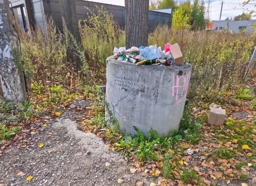 В Солнечногорске проверили общественные зоны и объекты потребительского рынка В Солнечногорске проверили общественные зоны и объекты потребительского рынка
