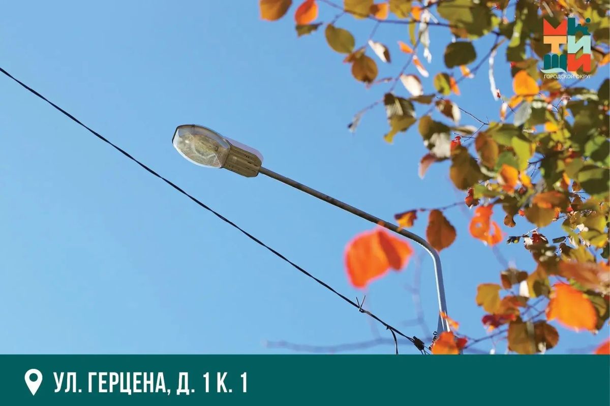 Юлия Купецкая: Система уличного освещения: ежедневный мониторинг Юлия Купецкая: Система уличного освещения: ежедневный мониторинг