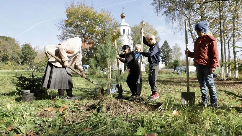 Почти 500 саженцев высадили в Солнечногорске за последние три года Почти 500 саженцев высадили в Солнечногорске за последние три года