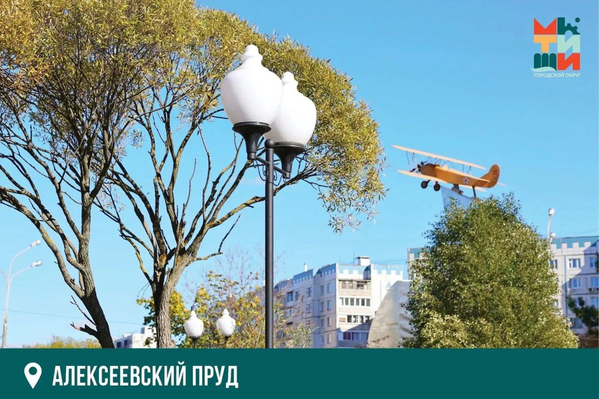 Юлия Купецкая: Система уличного освещения: ежедневный мониторинг Юлия Купецкая: Система уличного освещения: ежедневный мониторинг