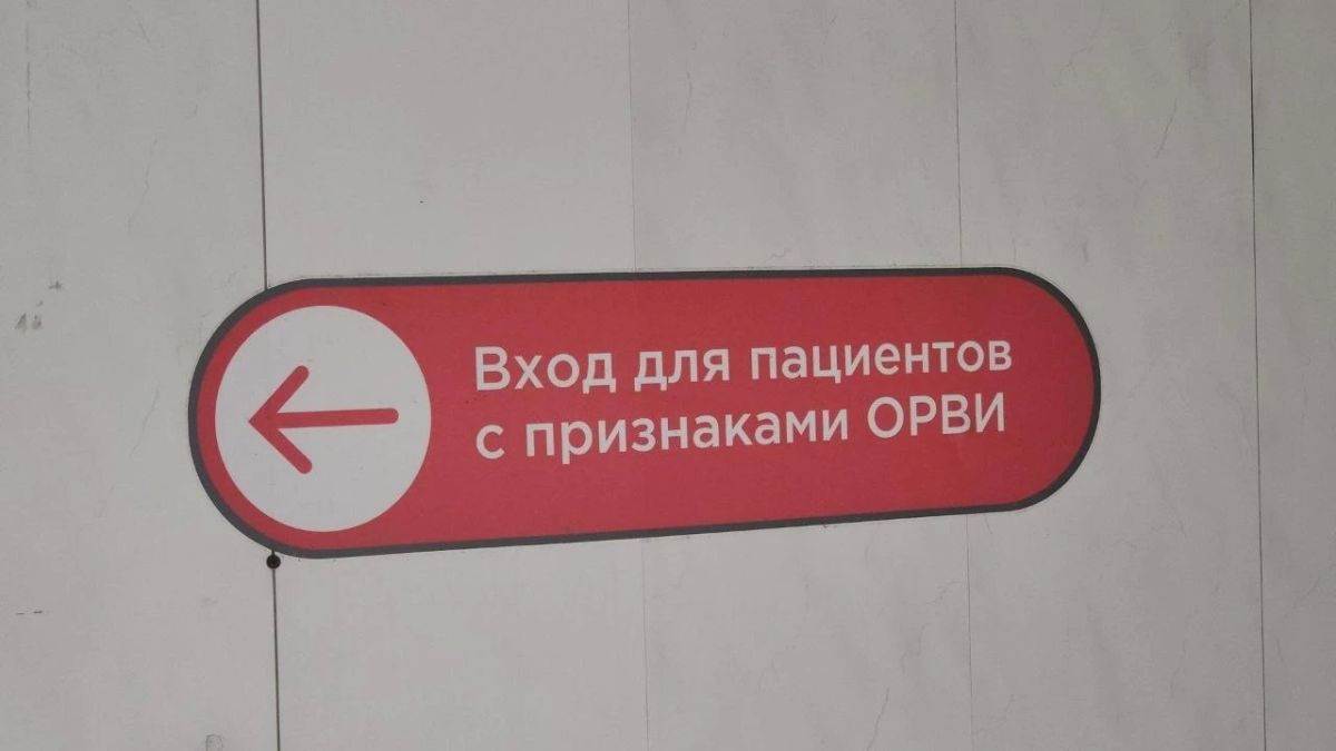 Жителям Люберец напомнили о мерах профилактики ОРВИ Жителям Люберец напомнили о мерах профилактики ОРВИ
